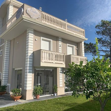 Crialesi Boutique Rooms Falerna Esterno foto